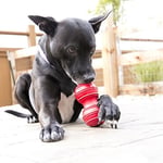 Kong Dental Köpekler İçin Çift Ekstra Çiğneme Oyuncak - Kırmızı