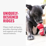 Kong Dental Köpekler İçin Çift Ekstra Çiğneme Oyuncak - Kırmızı