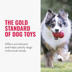 KONG - Klasik Köpek Oyuncağı - Dayanıklı Doğal Kauçuk - Çiğnemek, Kovalamak ve Getirmek İçin Eğlenceli - Ekstra Büyük Köpekler için