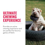 Kong Köpek Extreme Kauçuk Oyuncak Lastik S 9cm
