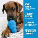 KONG - Yavru Köpek Lastikleri - Yumuşak Kauçuk Çiğneme Oyuncağı ve Ödül Dağıtıcısı (Çeşitli Renkler) - Orta/Büyük Yavru Köpekler için