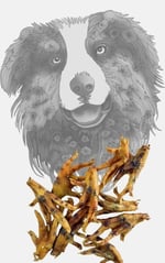 Köpekler için Sirius Kurutulmuş Tavuk Ayakları | Tamamen Doğal Tek Bileşenli Köpek Bakımı | Sağlıklı Eklemler İçin Glukozamin ve Kondroitin açısından zengin (10'lu Paket)