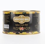 Köyceğiz Balı Bahar Çiçek Balı 1850 G Teneke