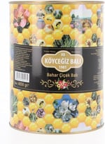 Köyceğiz Balı Bahar Çiçek Balı 4850 G Teneke