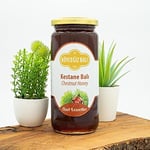 Köyceğiz Balı Kestane Balı 660 G Cam Kavanoz