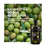 Kozoliv 2025-26 Yeni Sezon Erken Hasat Soğuk Sıkım Zeytinyağı 500 ML Cam Şişe