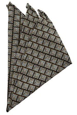Kravatkolik Gri Motif Baskılı İpek Mendil SPS176