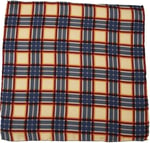 Kravatkolik Krem Motif Baskılı İpek Mendil SPS417