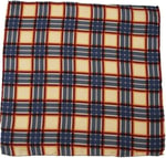 Kravatkolik Krem Motif Baskılı İpek Mendil SPS417