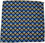 Kravatkolik Mavi Motif Baskılı İpek Mendil SPS308