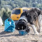 Kurgo PETSAFE KIBBLE KURU MAMA TAŞIYICI Kırmızı