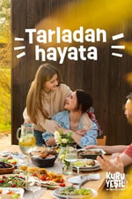 Kuru Yeşil Doğal Çiğ Kabak Çekirdeği İçi 250 gr - Tuzsuz, Katkısız ve Soyulmuş - Yüksek Protein ve Magnezyum Kaynağı Sağlıklı Atıştırmalık