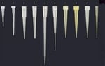 Lab Pipet Ucu (0-200 µl) - Sarı