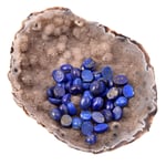 Lapis Lazuli Taşı Kabaşon - 6 * 8 mm Yüzük ve Kolye Taşı - Taş Sandığı