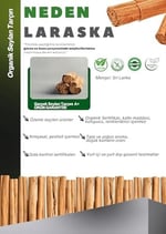 Laraska Organik Seylon Çubuk Tarçın 100g