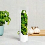 Le Nish Home Taze Tutma Kabı - 2'li Ekonomi Seti - Buzdolabı Organizer, Maydanoz, Dereotu ve Nane Saklama Kabı, Otların ömrünü 3 Kat Uzatan Akıllı Tasarım (BPA Free)