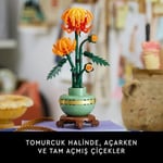 LEGO Botanicals Krizantem 10368 – Yetişkinler için Altın Şeritli ve Ahşap Görünümlü Kaide Üzerinde Pastel Yeşil Saksı İçeren Dekoratif Çiçek Modeli Yapım Seti, Sevgililer Günü Hediye Fikri (278 Parça)