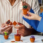 LEGO Botanicals Minik Bitkiler 10329 – Yetişkinler için Terakota Renkli Saksıda Kurak, Tropik ve Etçil Türlerde 9 Bitki İçeren Yapay Çiçek Modeli Yapım Seti, Sevgililer Günü Hediyesi Fikri (758 Parça)