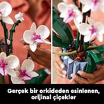 LEGO Botanicals Orkide 10311 – Yetişkinler için 5 Yaprak, 2 Kök ve Saksı İçeren Yaratıcı Dekoratif Yapay Bitki Modeli Yapım Seti, Kadınlar ve Erkekler için Sevgililer Günü Hediyesi Fikri (608 Parça)