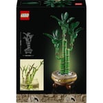 LEGO Botanicals Şans Bambusu 10344 – Yetişkinler için Bambu Sapları, Çakıl Taşları ve Ahşap Efektli Saksı İçeren Sevgililer Günü'ne Özel Dekoratif Bitki Modeli Yapım Seti (325 Parça)