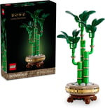 LEGO Botanicals Şans Bambusu 10344 – Yetişkinler için Bambu Sapları, Çakıl Taşları ve Ahşap Efektli Saksı İçeren Sevgililer Günü'ne Özel Dekoratif Bitki Modeli Yapım Seti (325 Parça)