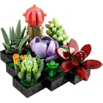 LEGO Botanicals Sukulentler 10309 – Yetişkinler için 9 Farklı Bitki ve Saksı İçeren Dekoratif Yaratıcı Yapay Çiçek Modeli Yapım Seti, Kadınlar ve Erkekler için Sevgililer Günü Hediye Fikri (771 Parça)