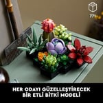 LEGO Botanicals Sukulentler 10309 – Yetişkinler için 9 Farklı Bitki ve Saksı İçeren Dekoratif Yaratıcı Yapay Çiçek Modeli Yapım Seti, Kadınlar ve Erkekler için Sevgililer Günü Hediye Fikri (771 Parça)