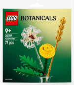 LEGO Botanicals Tarla Çiçekleri 30701