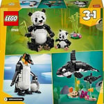 LEGO Creator 3’ü 1 Arada Vahşi Hayvanlar: Panda Ailesi 31165-8 Yaş ve Üzeri Çocuklar için Orka veya Penguene Dönüşen Oyuncak Yapım Seti, Doğum Günü Hediyesi (626 Parça)