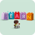 LEGO DUPLO Kasabası Alfabe Kamyonu Oyuncağı 10421 | 2 Yaş ve Üzeri Çocuklar için Yaratıcı Aksesuarlar İçeren Eğitici Oyuncak Yapım Seti, Doğum Günü Hediyesi Fikri (36 Parça)