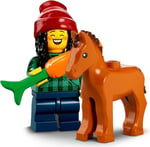 LEGO Minifigure Serisi 22 At ve Damat 71032