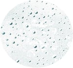 Leonor Greyl Tonıque Hydratant 150Ml