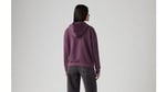 Levi's Graphic Everyday Hoodie Sweatshirt Kadın