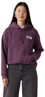 Levi's Graphic Everyday Hoodie Sweatshirt Kadın