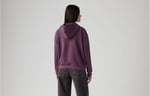 Levi's Graphic Everyday Hoodie Sweatshirt Kadın