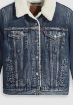 Levi's Original Trucker Ceket Mont Kadın