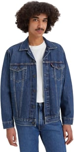 Levi's Relaxed Fit Trucker Ceket Mont Erkek
