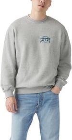Levi's Relaxed Graphic Crewneck Sweatshirt Sweatshirt Erkek - Bedenler: S, M, L, XL, XXL, One Size Tall