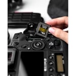 Lexar 128GB Profesyonel CFexpress Tip B Hafıza Kartı GOLD Serisi, 1750MB/s'ye Kadar Okuma, Ham 8K Video Kaydı, PCIe 3.0 ve NVMe'yi destekler (LCXEXPR128G-RNENG)