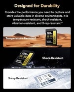 Lexar Professional 2000x SD Kart 128 GB, SDXC UHS-II Hafıza Kartı, 300 MB/sn'ye Kadar Okuma, 260 MB/sn Yazma, Sınıf 10, U3, V90 SDXC Kart DSLR için, Full-HD Sinema Kalitesinde 8K Video Kameralar