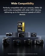 Lexar Professional 2000x SD Kart 128 GB, SDXC UHS-II Hafıza Kartı, 300 MB/sn'ye Kadar Okuma, 260 MB/sn Yazma, Sınıf 10, U3, V90 SDXC Kart DSLR için, Full-HD Sinema Kalitesinde 8K Video Kameralar