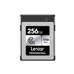 Lexar Profesyonel CFexpress Tip B Kart GÜMÜŞ Serisi 1000MB/s 256GB