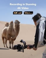 Lexar Profesyonel SILVER SD Kart 64 GB, 205 MB/s'ye Kadar Okuma, 90 MB/s Yazma, SDXC UHS-I Hafıza Kartı, Sınıf 10, U3, V30, Profesyonel Fotoğrafçılar, Videografçılar, Meraklılar için SD Kart