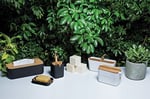 Lexon Zen Large Cup, beyaz/Bambu, LH40 W bölmesi (4 bölüm)