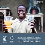 LifeStraw Kişisel Zirve (mavi)
