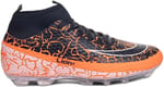 Lion Erkek Tych239yhn169659927272417 Shoes