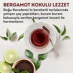 Lipton Earl Grey Dökme Bergamot Aromalı Siyah Çay Özel Seri 1000 GR