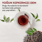 Lipton Extra Dem Demlik Poşet Çay, 100'lü, 320g