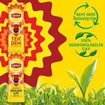 Lipton Tek Dem Anında Demleme Çay