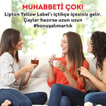 Lipton Yellow Label Demlik Poşet Çay, 100'lü, 320g